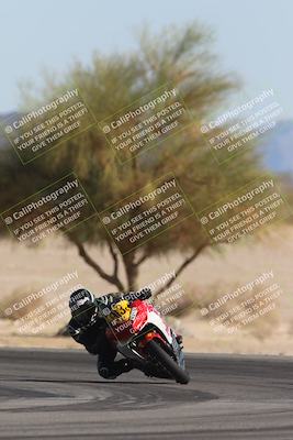 media/Oct-30-2025-Racers Edge (Thu) [[dabbdaf680]]/3-B Group/Session 5 Turn 4 Tree of Life/